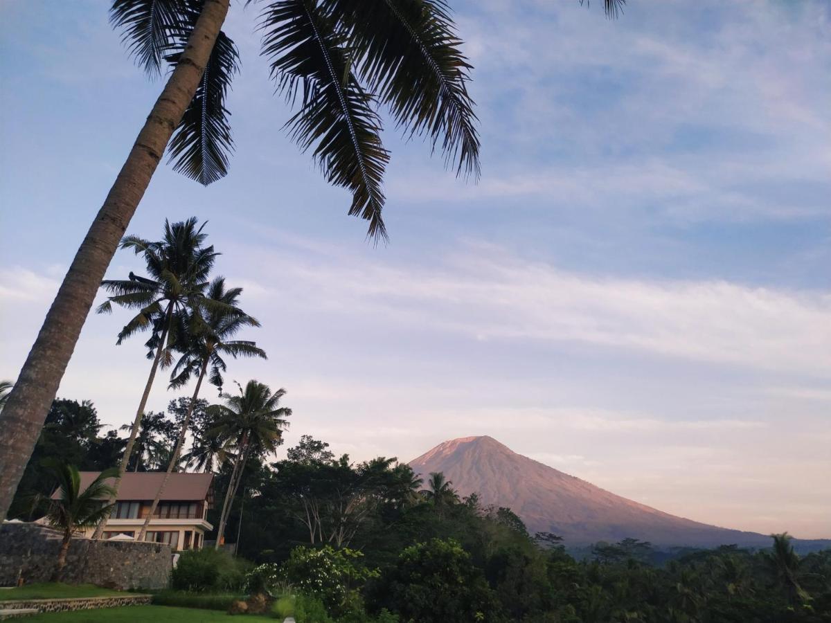 Palmterrace Chulik